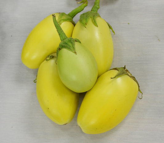 Green Apple Eggplant Seeds