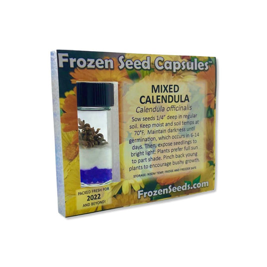 Mixed Calendula Seeds (Calendula officinalis)