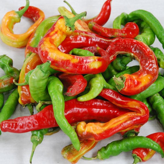 Italian Pepperoncini Pepper Seeds