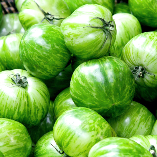 Green Zebra Tomato  Seeds