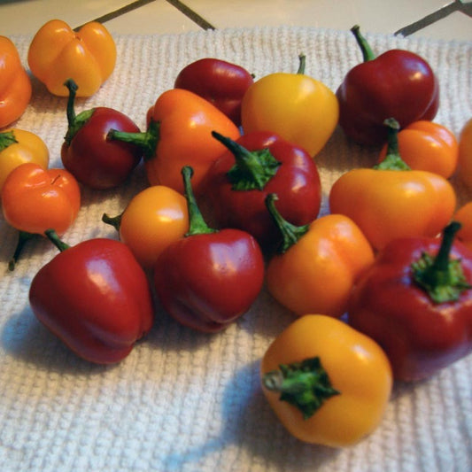 Sweet Cherry Pepper Seeds